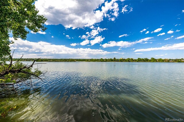 4200 W 17th Ave Unit 212, Denver, CO 80204 - water view