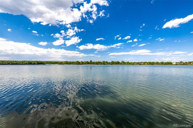 4200 W 17th Ave Unit 212, Denver, CO 80204 - water view