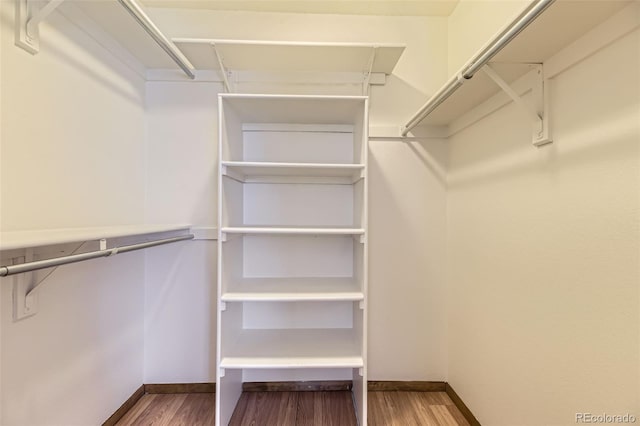 spacious closet with wood-type flooring