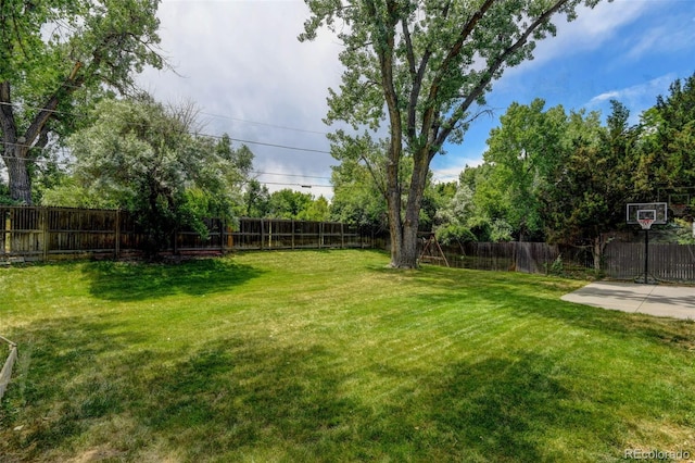 5690 E Cornell Ave, Denver, CO 80222 - view of fenced backyard
