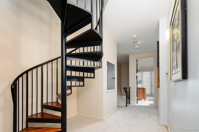 907 E 22nd Ave, Denver, CO 80205 - staircase featuring carpet and baseboards