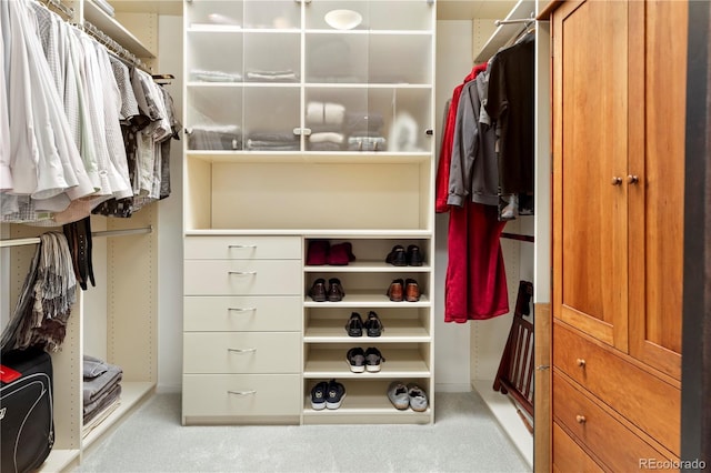 907 E 22nd Ave, Denver, CO 80205 - spacious closet featuring carpet floors