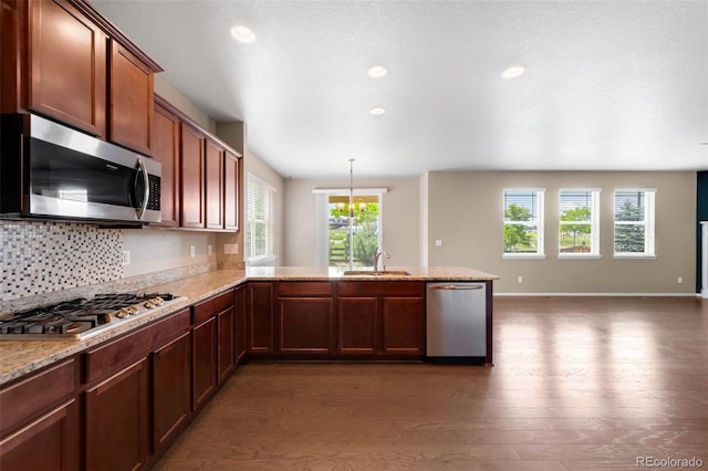 1339 Sidewinder Cir, Castle Rock, CO 80108 - kitchen featuring appliances with stainless steel finishes, dark wood finished floors, a peninsula, open floor plan, and tasteful backsplash