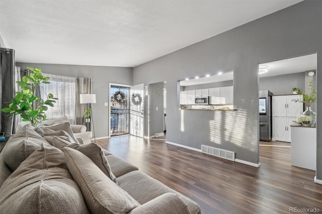 living room featuring dark wood-type flooring