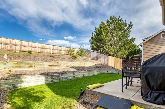 5972 S Zante Way, Aurora, CO 80015 - fenced backyard with a patio