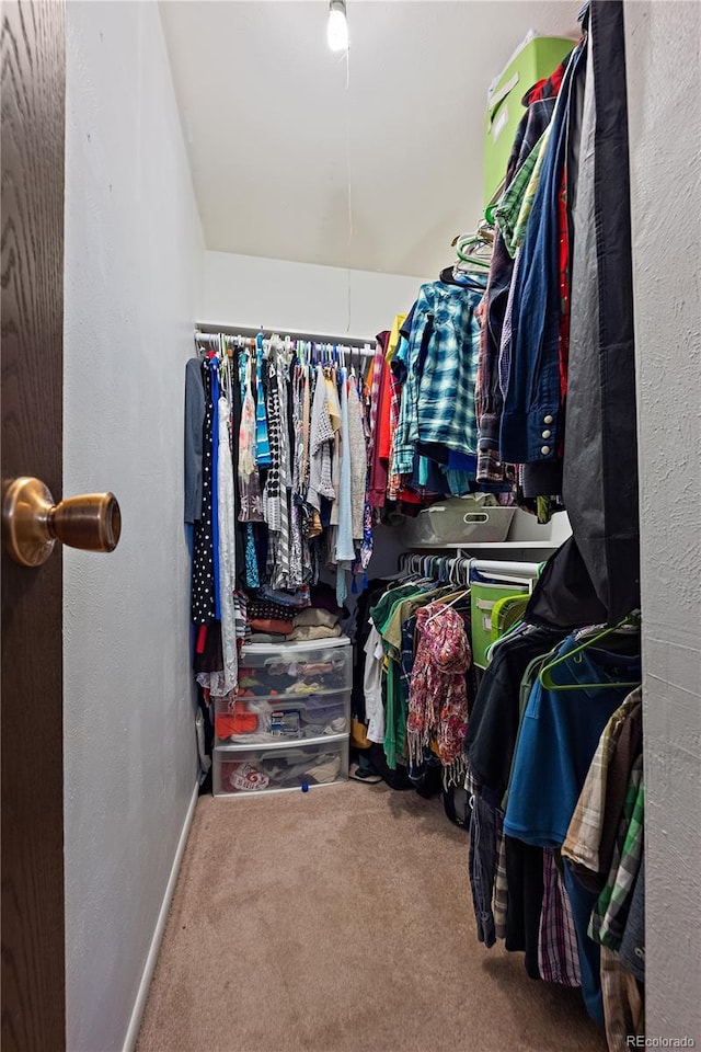 walk in closet featuring carpet floors