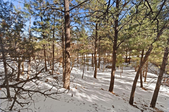 5960 Buttermere Dr, Colorado Springs, CO 80906 - photo 1