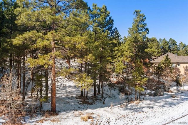 5960 Buttermere Dr, Colorado Springs, CO 80906 - photo 2