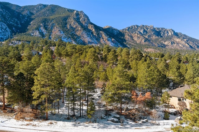 5960 Buttermere Dr, Colorado Springs, CO 80906 - photo 3