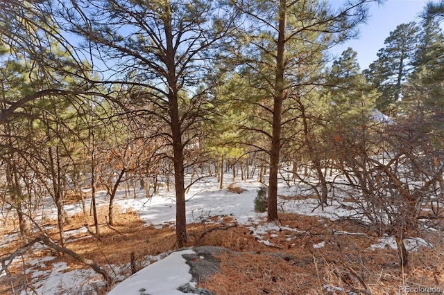 5960 Buttermere Dr, Colorado Springs, CO 80906 - photo 4