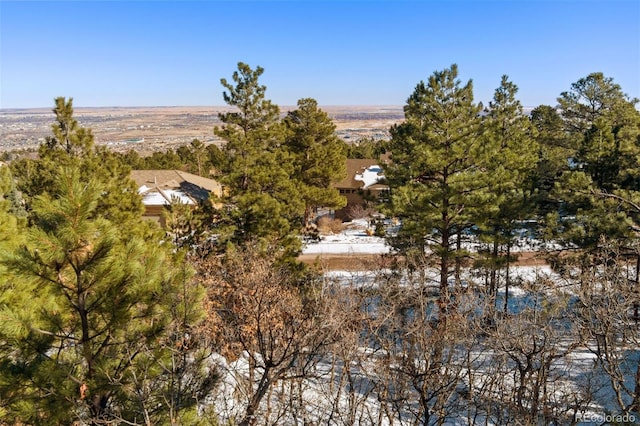5960 Buttermere Dr, Colorado Springs, CO 80906 - photo 8