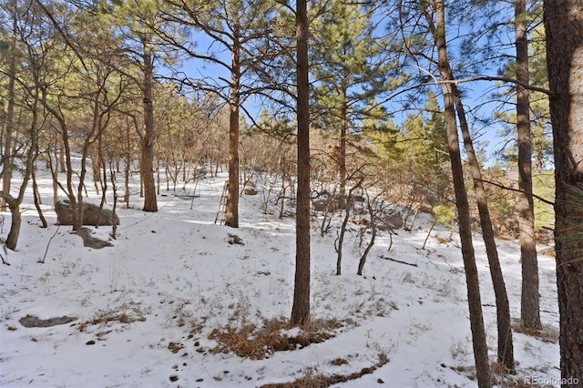 5960 Buttermere Dr, Colorado Springs, CO 80906 - photo 9