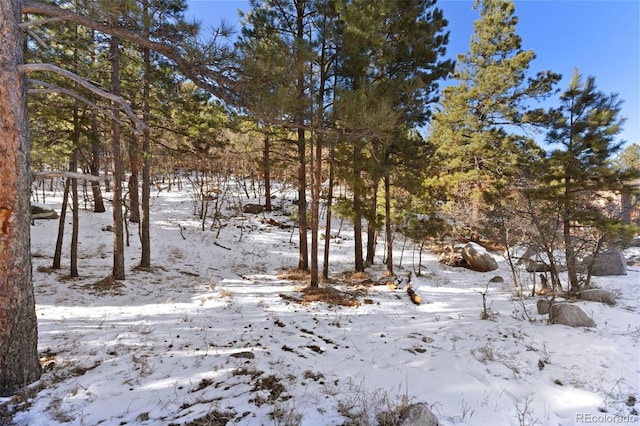 5960 Buttermere Dr, Colorado Springs, CO 80906 - photo 10