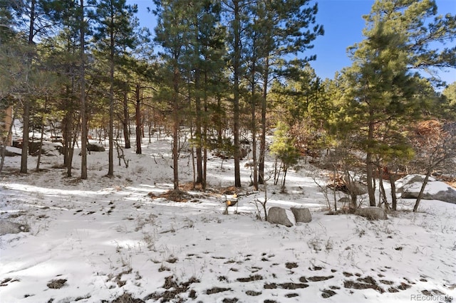5960 Buttermere Dr, Colorado Springs, CO 80906 - photo 11