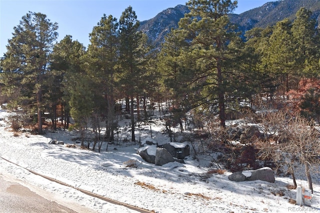 5960 Buttermere Dr, Colorado Springs, CO 80906 - photo 12