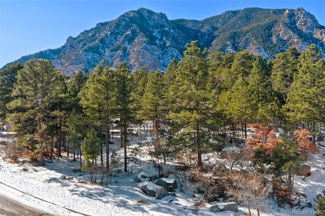 5960 Buttermere Dr, Colorado Springs, CO 80906 - photo 13