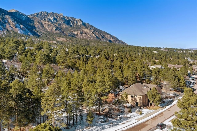 5960 Buttermere Dr, Colorado Springs, CO 80906 - photo 16