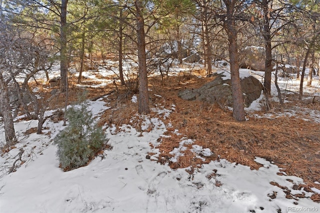 5960 Buttermere Dr, Colorado Springs, CO 80906 - photo 18