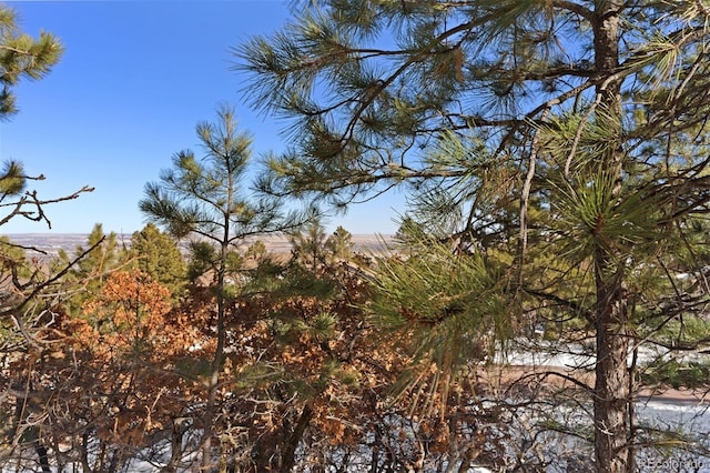 5960 Buttermere Dr, Colorado Springs, CO 80906 - photo 19