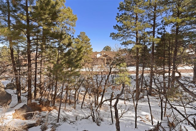 5960 Buttermere Dr, Colorado Springs, CO 80906 - photo 20