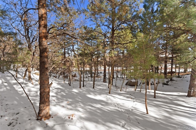 5960 Buttermere Dr, Colorado Springs, CO 80906 - photo 21