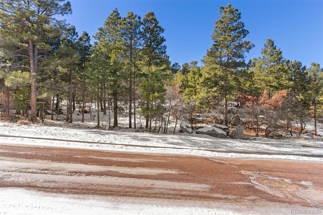 5960 Buttermere Dr, Colorado Springs, CO 80906 - photo 22