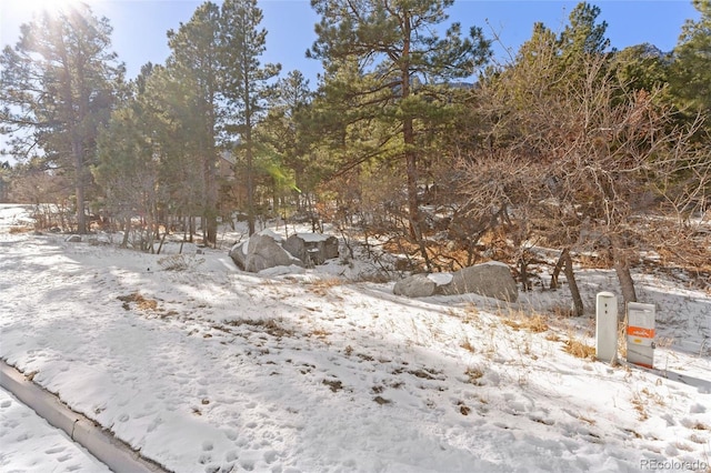 5960 Buttermere Dr, Colorado Springs, CO 80906 - photo 23
