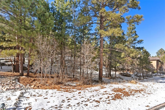 5960 Buttermere Dr, Colorado Springs, CO 80906 - photo 24