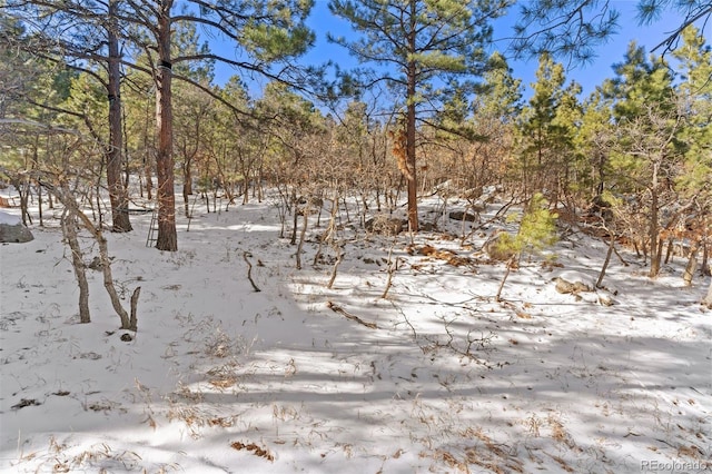 5960 Buttermere Dr, Colorado Springs, CO 80906 - photo 25