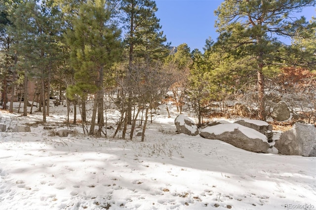 5960 Buttermere Dr, Colorado Springs, CO 80906 - photo 26