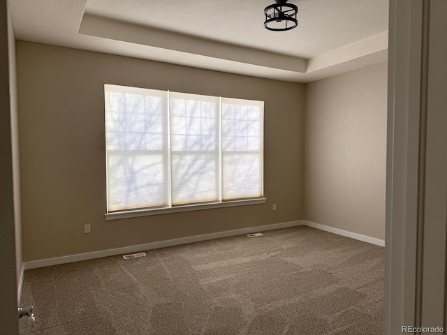 spare room featuring a raised ceiling and carpet