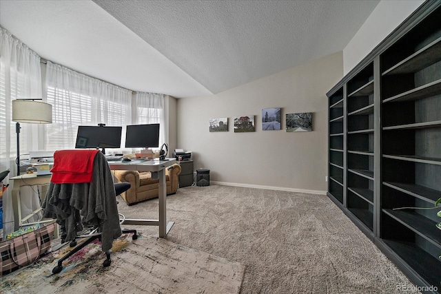 carpeted office space with a textured ceiling