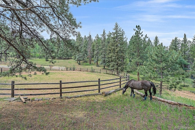 3645 Nova Rd, Pine, CO 80470 - photo 36