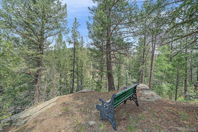 3645 Nova Rd, Pine, CO 80470 - photo 39