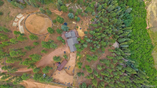 3645 Nova Rd, Pine, CO 80470 - photo 43