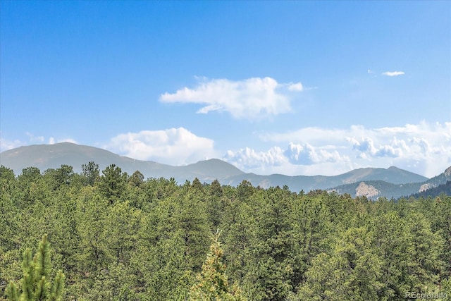 3645 Nova Rd, Pine, CO 80470 - photo 44