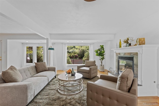 3209 E Yale Way, Denver, CO 80210 - living room featuring light wood-type flooring and a glass covered fireplace