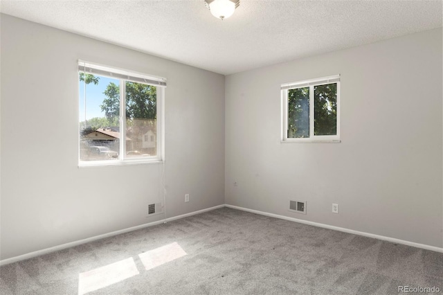 11917 Lavinia Way, Northglenn, CO 80233 - empty room with carpet floors and a textured ceiling