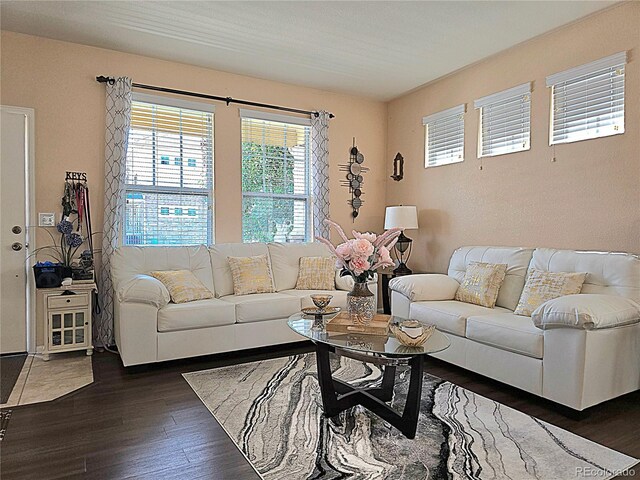 13626 Garfield St Unit A, Thornton, CO 80602 - living room featuring wood finished floors