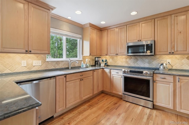 1800 Crestone Ct, Longmont, CO 80504 - photo 11