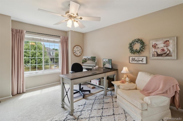 1800 Crestone Ct, Longmont, CO 80504 - photo 24