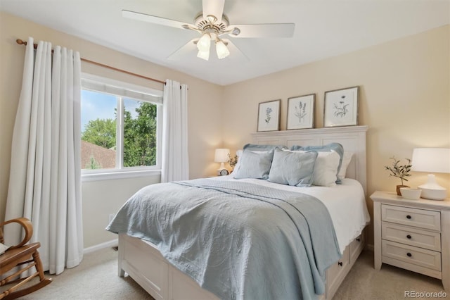1800 Crestone Ct, Longmont, CO 80504 - photo 27