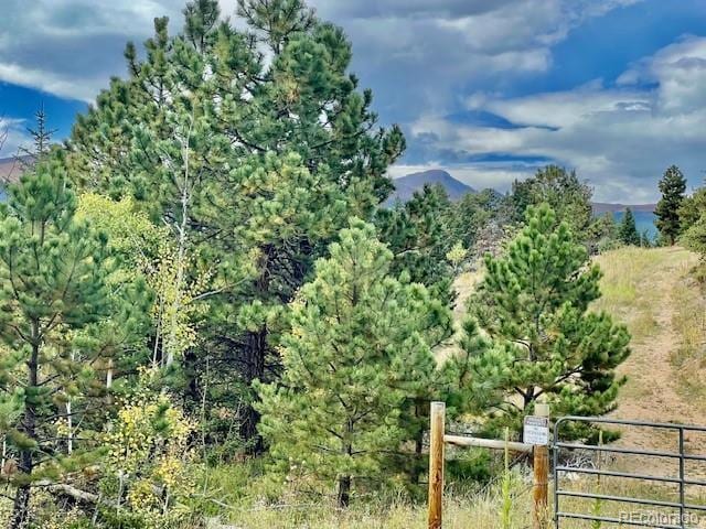 Cold Spring Dr, Nederland, CO 80466 - photo 3
