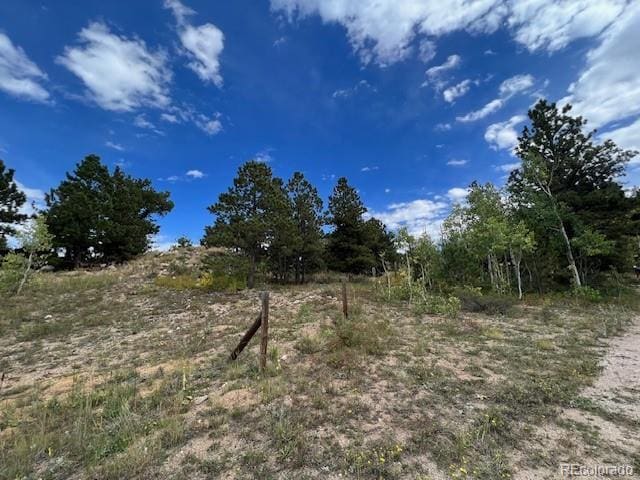 Cold Spring Dr, Nederland, CO 80466 - photo 4