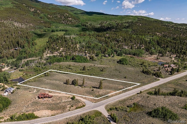 Lang St, Twin Lakes, CO 81251 - photo 3