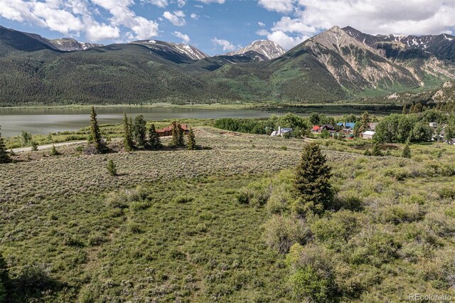 Lang St, Twin Lakes, CO 81251 - photo 10