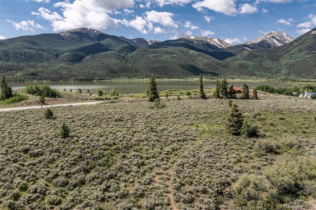 Lang St, Twin Lakes, CO 81251 - photo 12