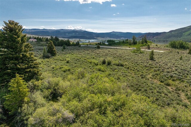 Lang St, Twin Lakes, CO 81251 - photo 15
