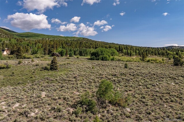 Lang St, Twin Lakes, CO 81251 - photo 16