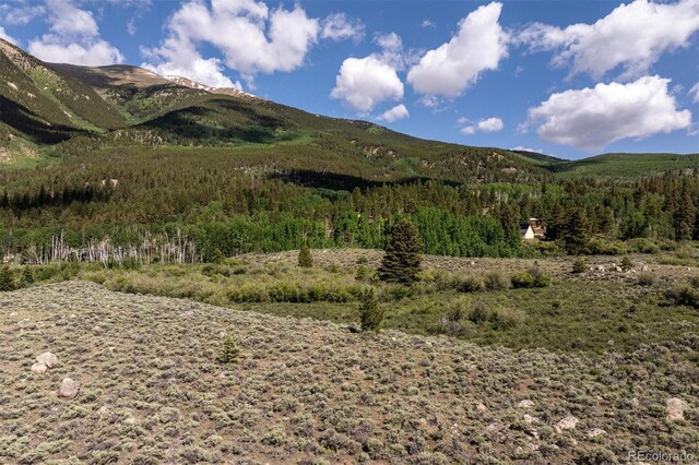 Lang St, Twin Lakes, CO 81251 - photo 17